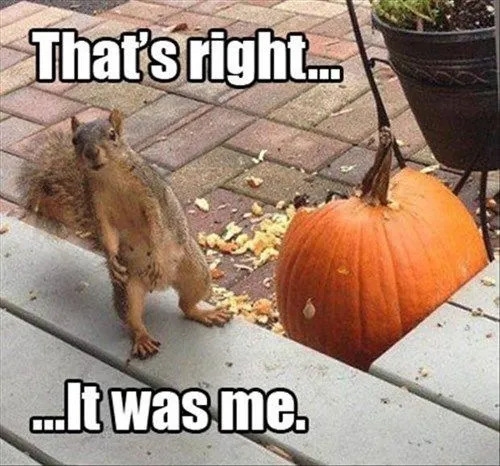 funnymemes567_028