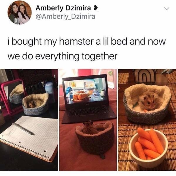 funnymemes567_029