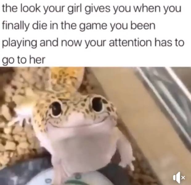 funnymemes567_031