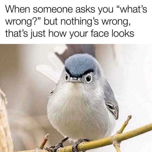 funnymemes567_039