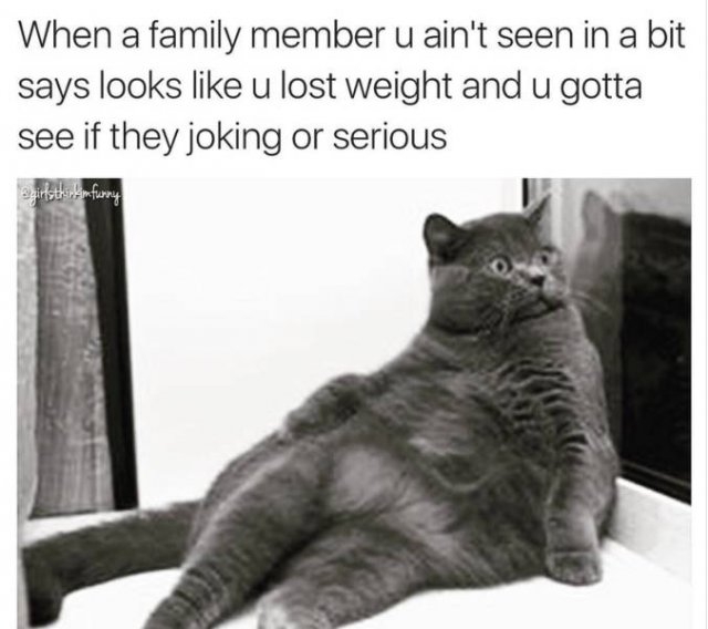funnymemes568_006
