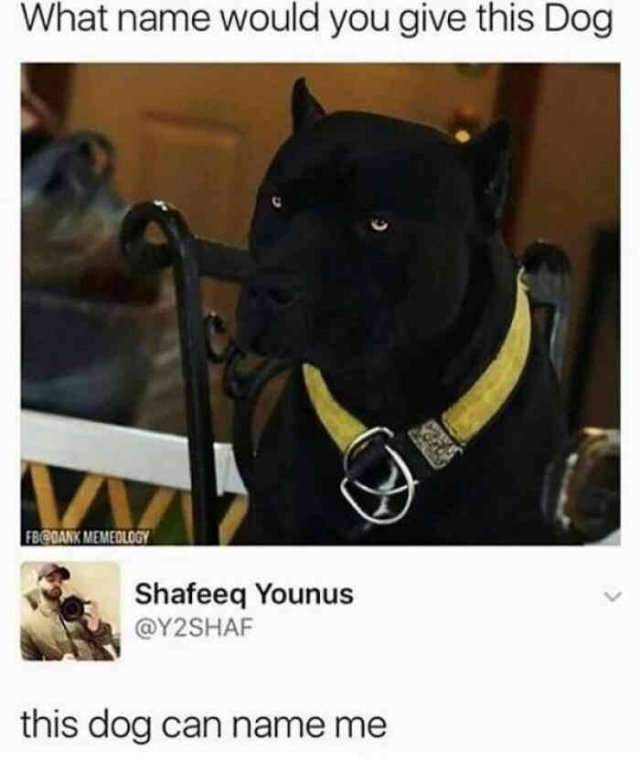 funnymemes568_014