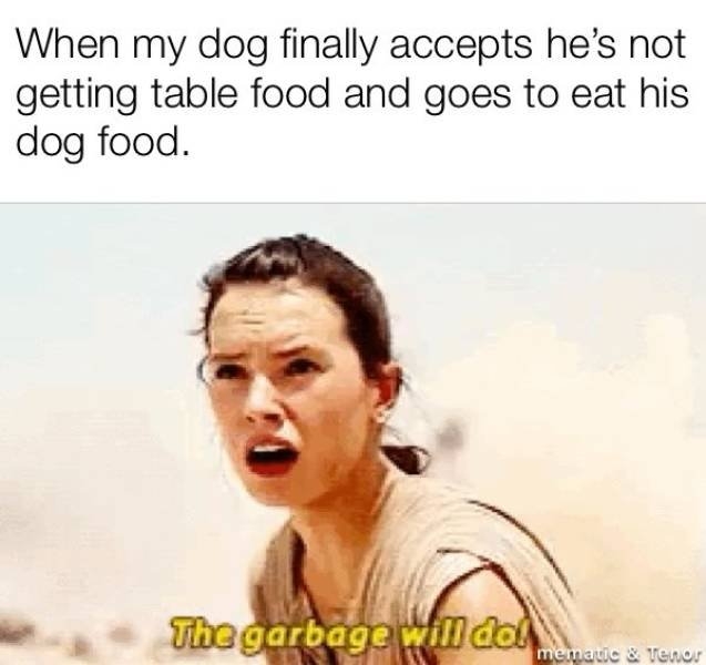 funnymemes568_038
