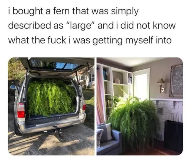 funnymemes569_038