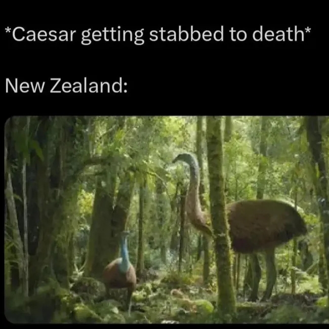 funnymemes570_019