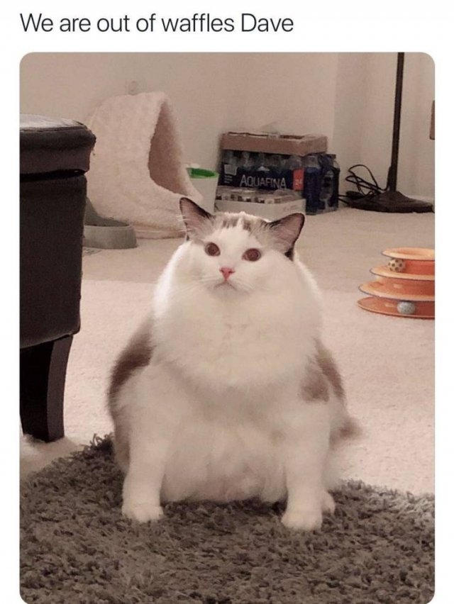 funnymemes571_037