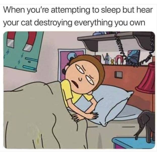 funnymemes571_038
