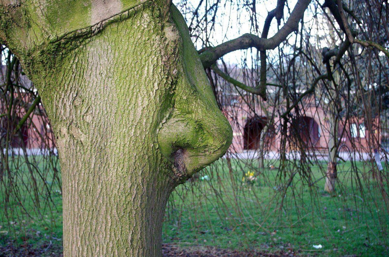 randompics2188_087