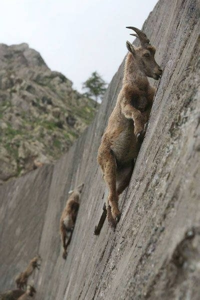 randompics2189_038