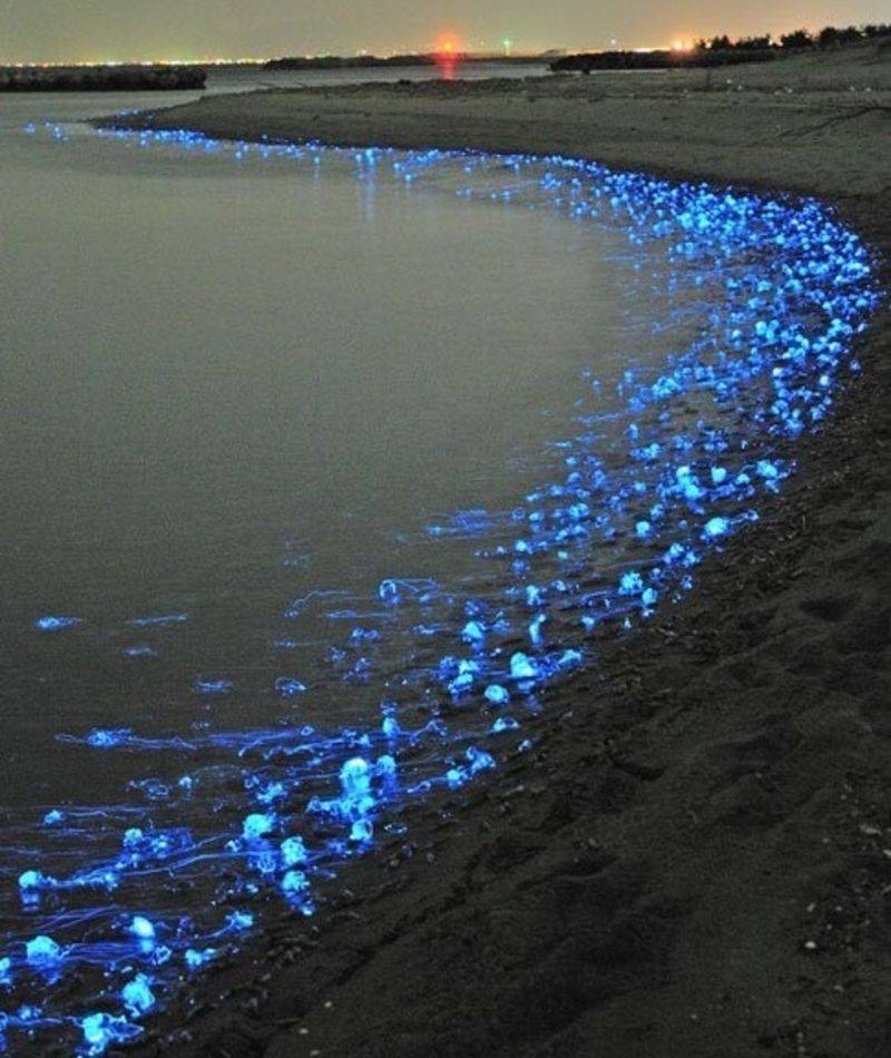 randompics2190_014