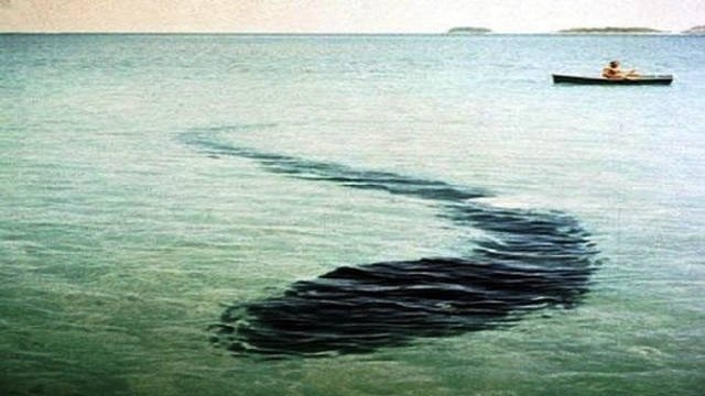 randompics2191_012