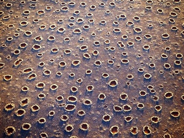randompics2191_026