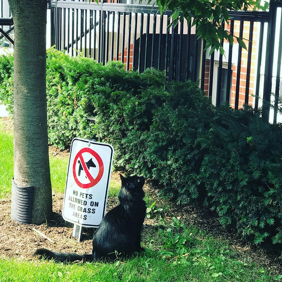 randompics2197_006