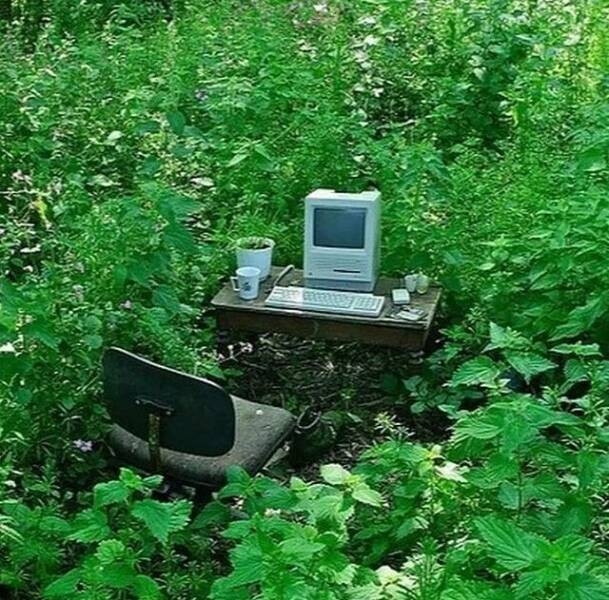 randompics2197_059
