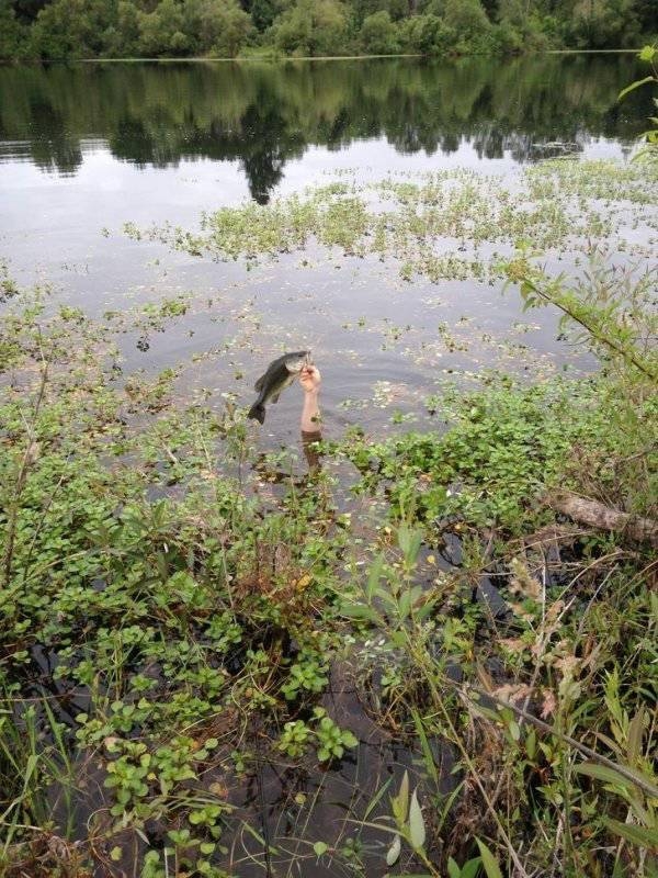 randompics2198_044