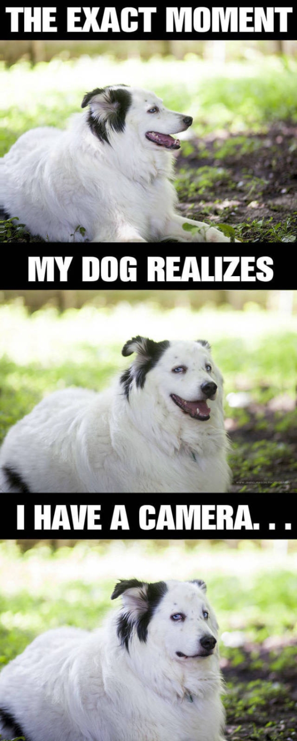 randompics2200_056