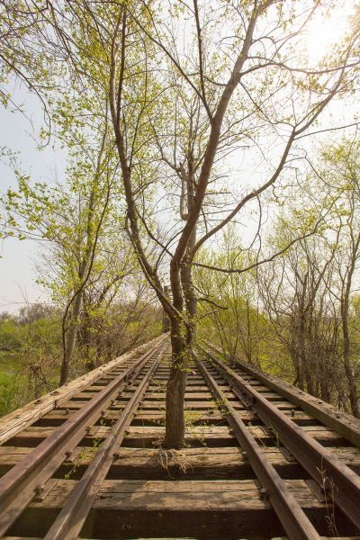 randompics2203_028