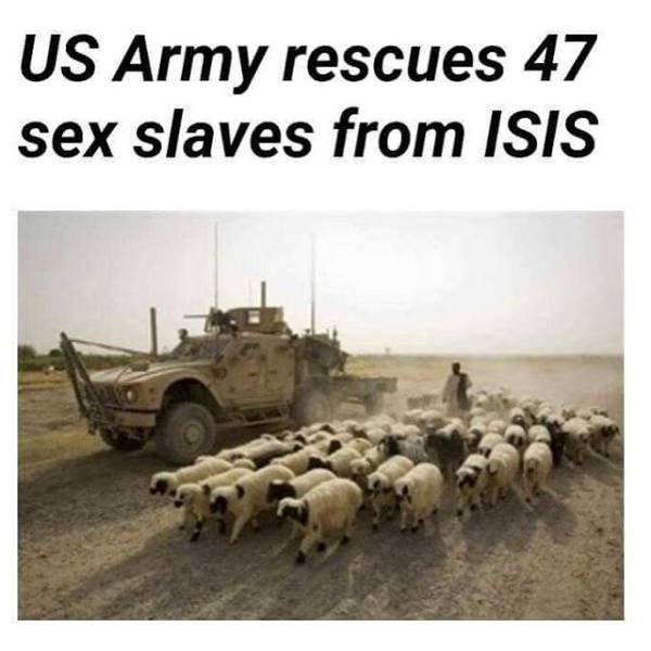 truememes82_036