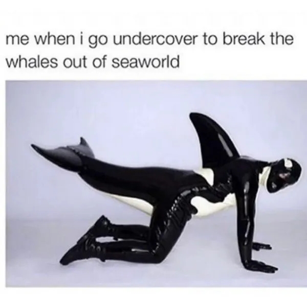 truememes83_007