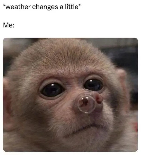 truememes83_008