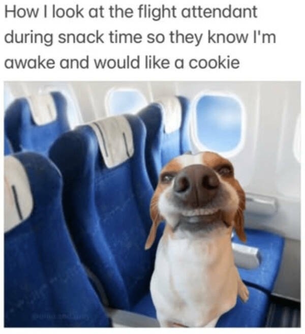 truememes83_031
