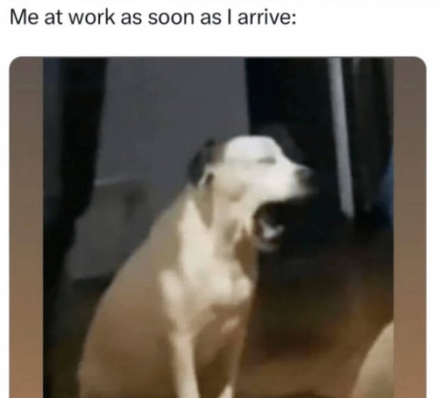 truememes83_032
