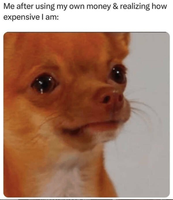 truememes83_033