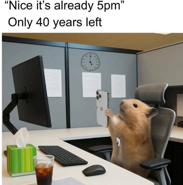 truememes84_004