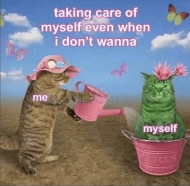 truememes84_005