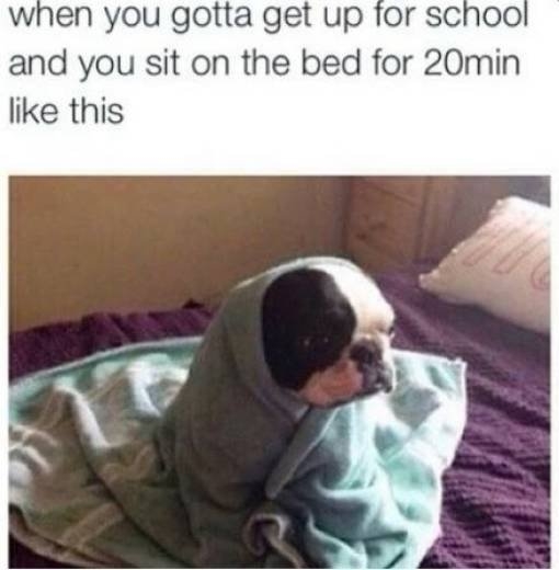 truememes84_008