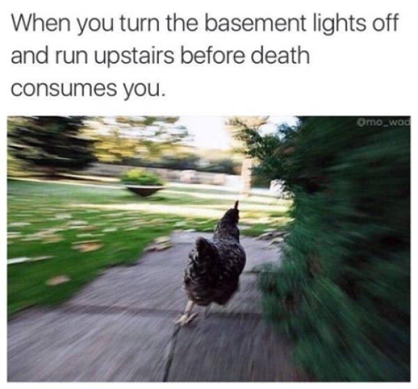 truememes84_026