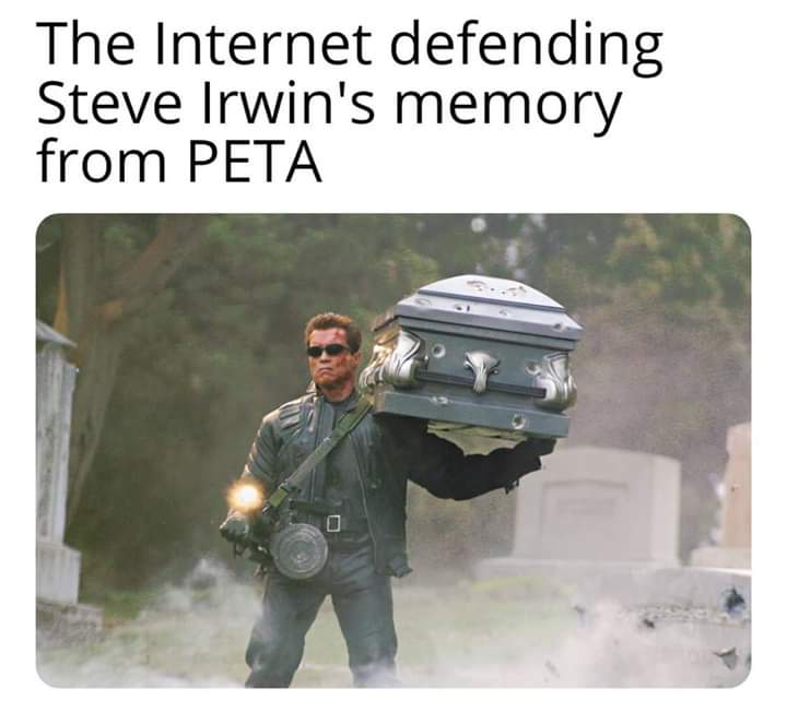 fpqrhpif2s8ag_12
