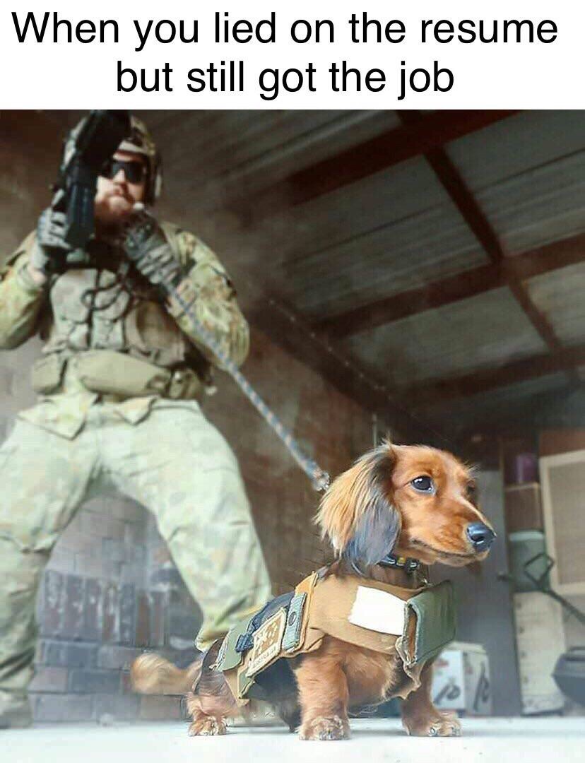 xfeucggfe2dkl_14