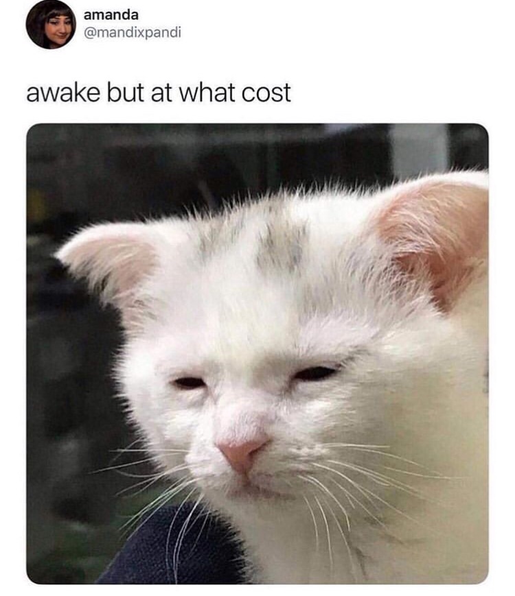 yvktwkg1jneec_96