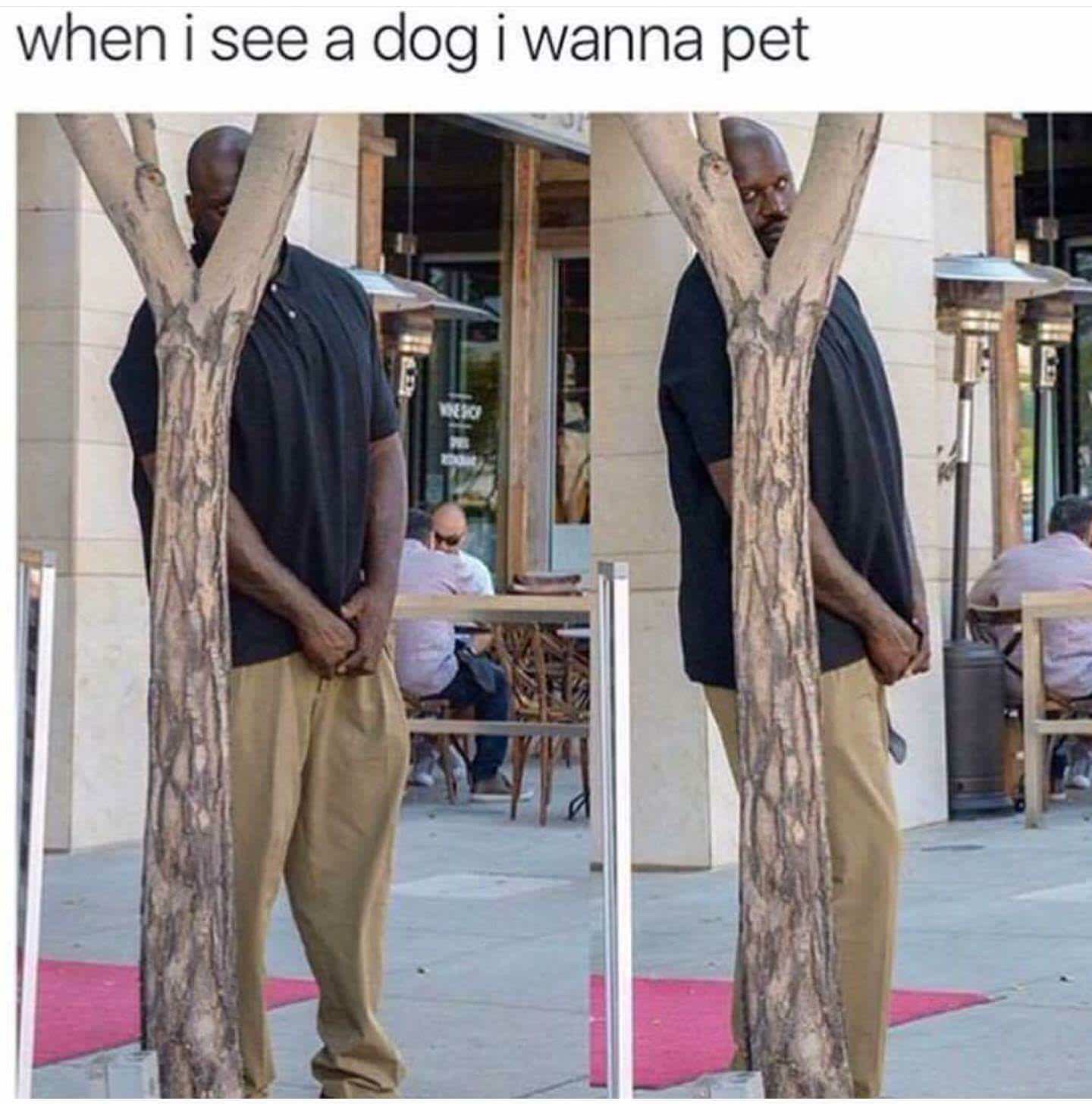 aopr9b9qappjg_235
