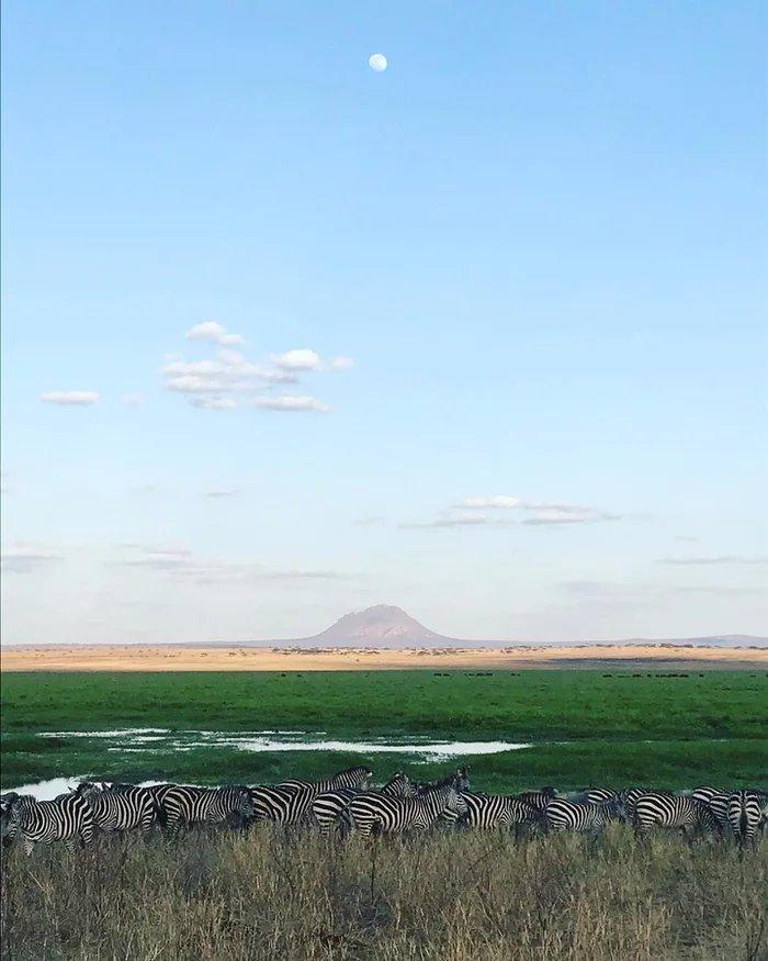 j6rcxitduytjk_477