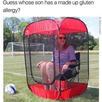q8elbwcvvfmd1