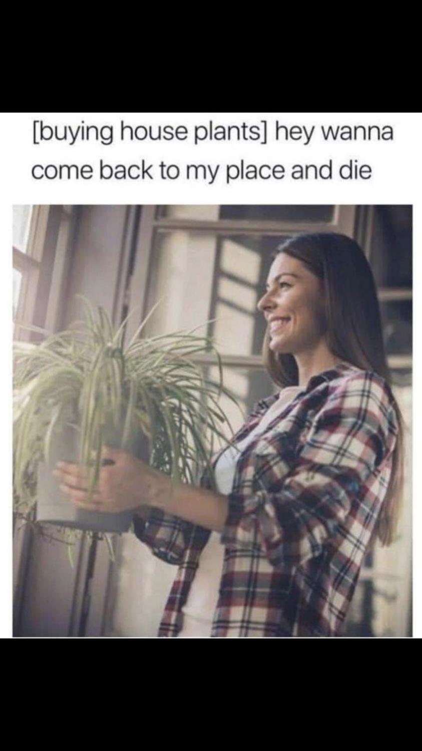 vdfduzuuul65i_402