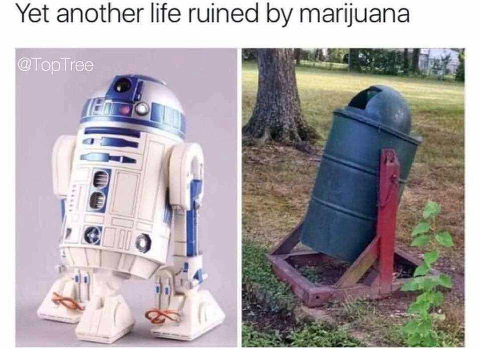 zu9yqrwom5q7k_319