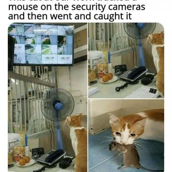 1ytq1tEBL