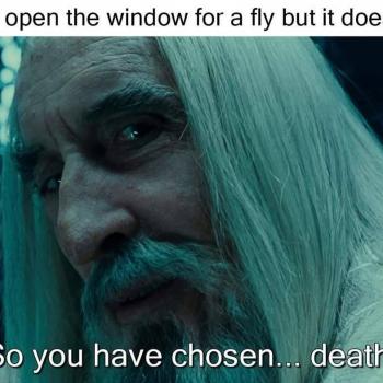 80mKZvne0