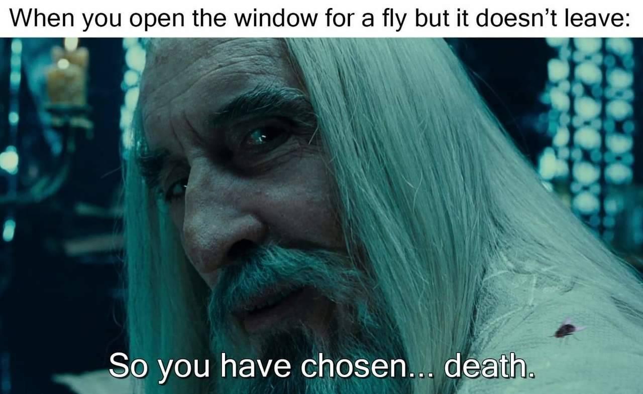 80mkzvne0_907