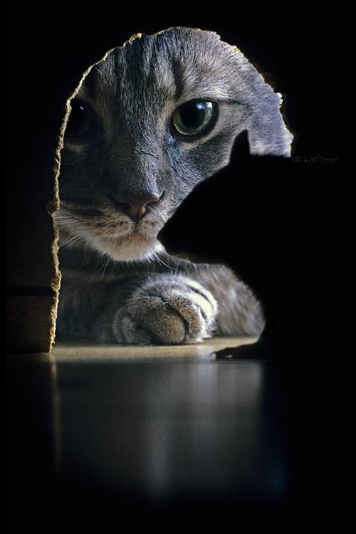 egbal3_662