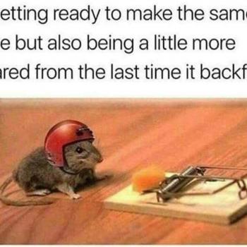 gckpcfe3pi2o9
