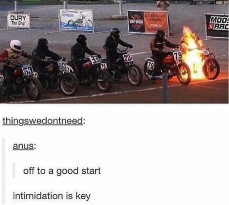 ku6uzv2zi_855