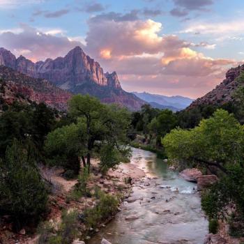 YEDVM7tXj