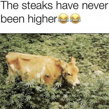 VRFHcYkUM
