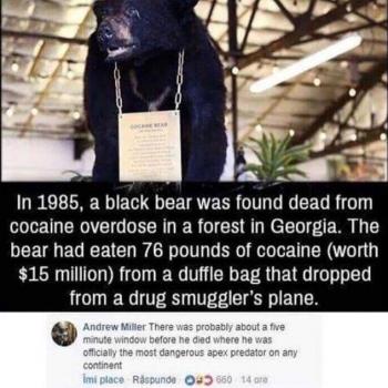 y2bUMhmEl