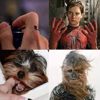 YeSyvCoJG