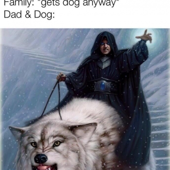 IRGSXzsng